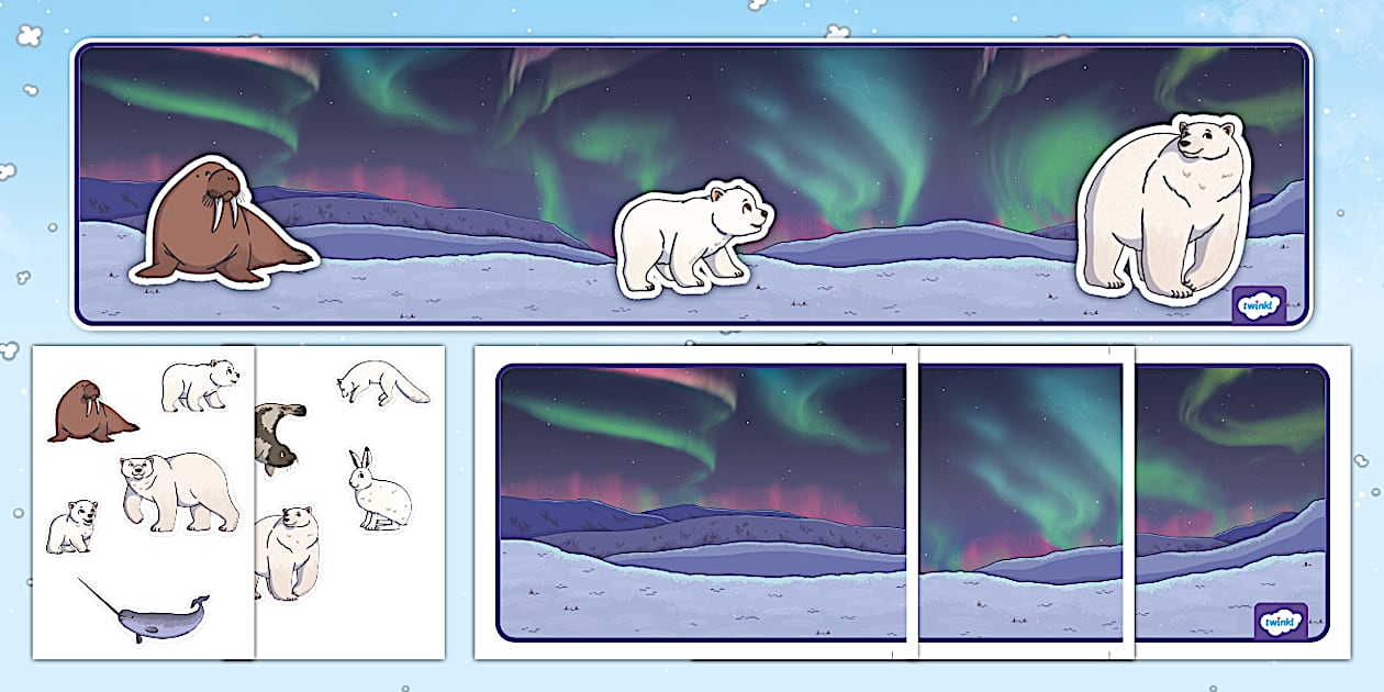 Polar Bear Role Play Cut Outs (teacher made) Twinkl