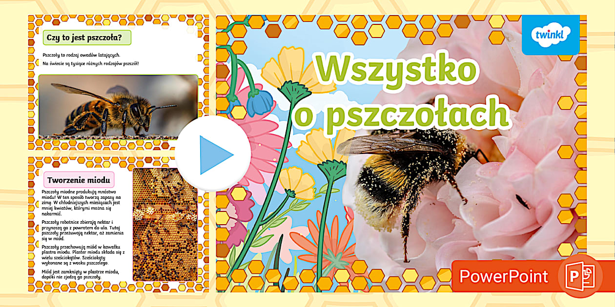 Wszystko o pszczołach | Prezentacja (teacher made) - Twinkl