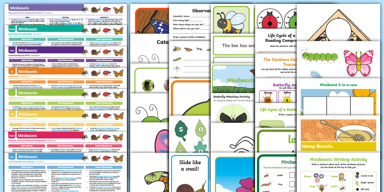 EYFS Minibeasts Activity Planning and Continuous Provision Ideas and ...
