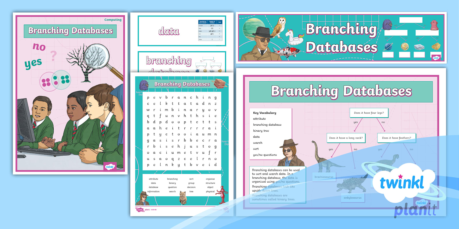 Computing: Branching Databases Year 3 Additional Resources Pack