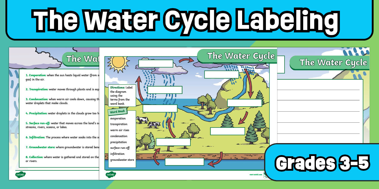 Water Cycle Labeling Activity and Vocabulary for 3 5 Gr