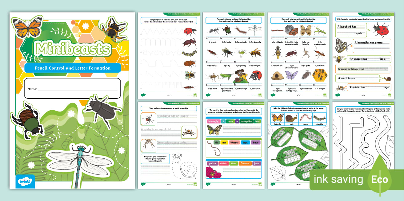 EYFS/KS1 Minibeasts Pencil Control and Letter Formation Handwriting ...
