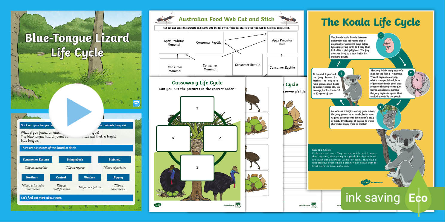 Year Biological Science Resource Pack Twinkl