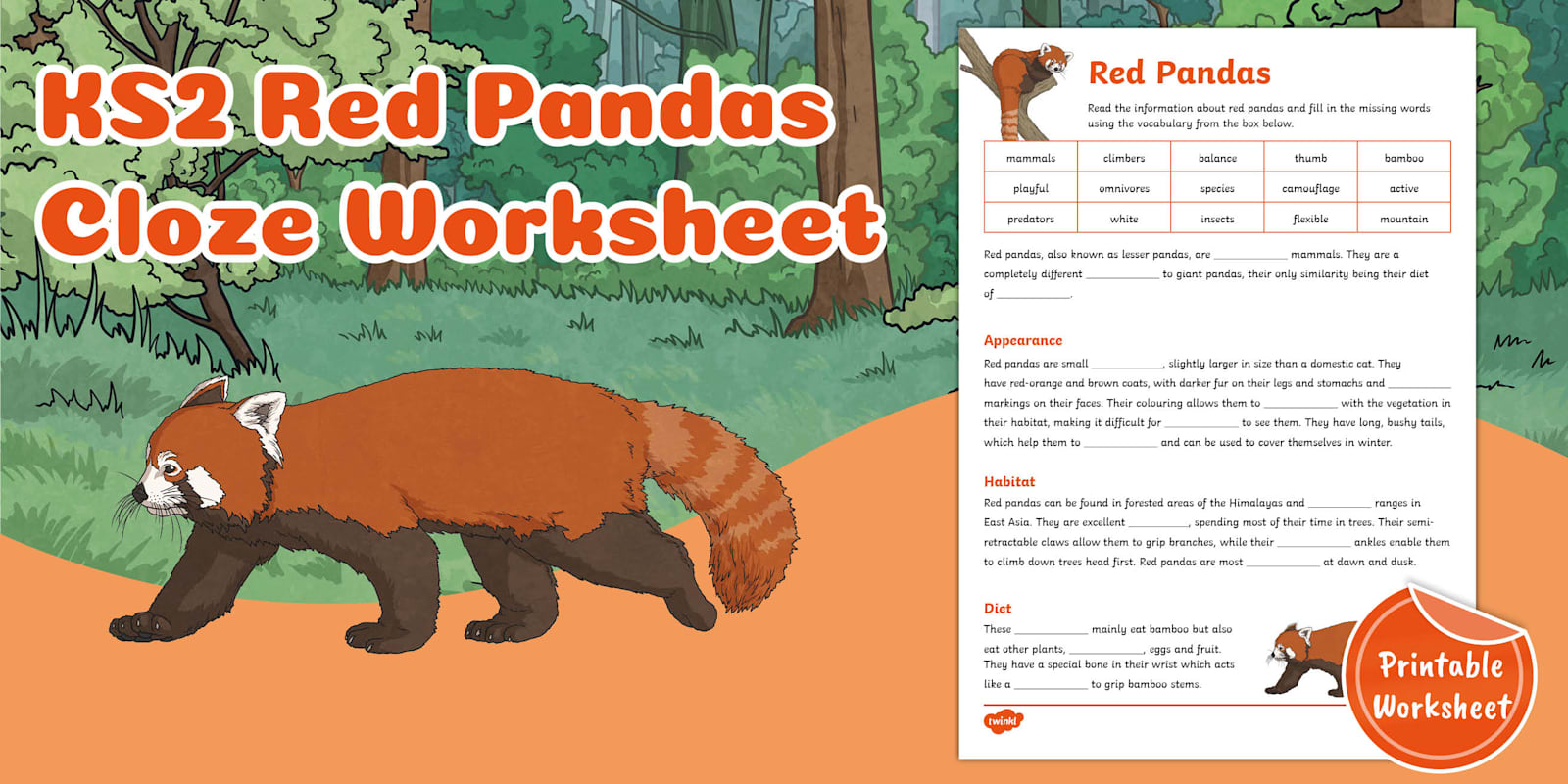 KS2 Red Pandas Cloze Worksheet