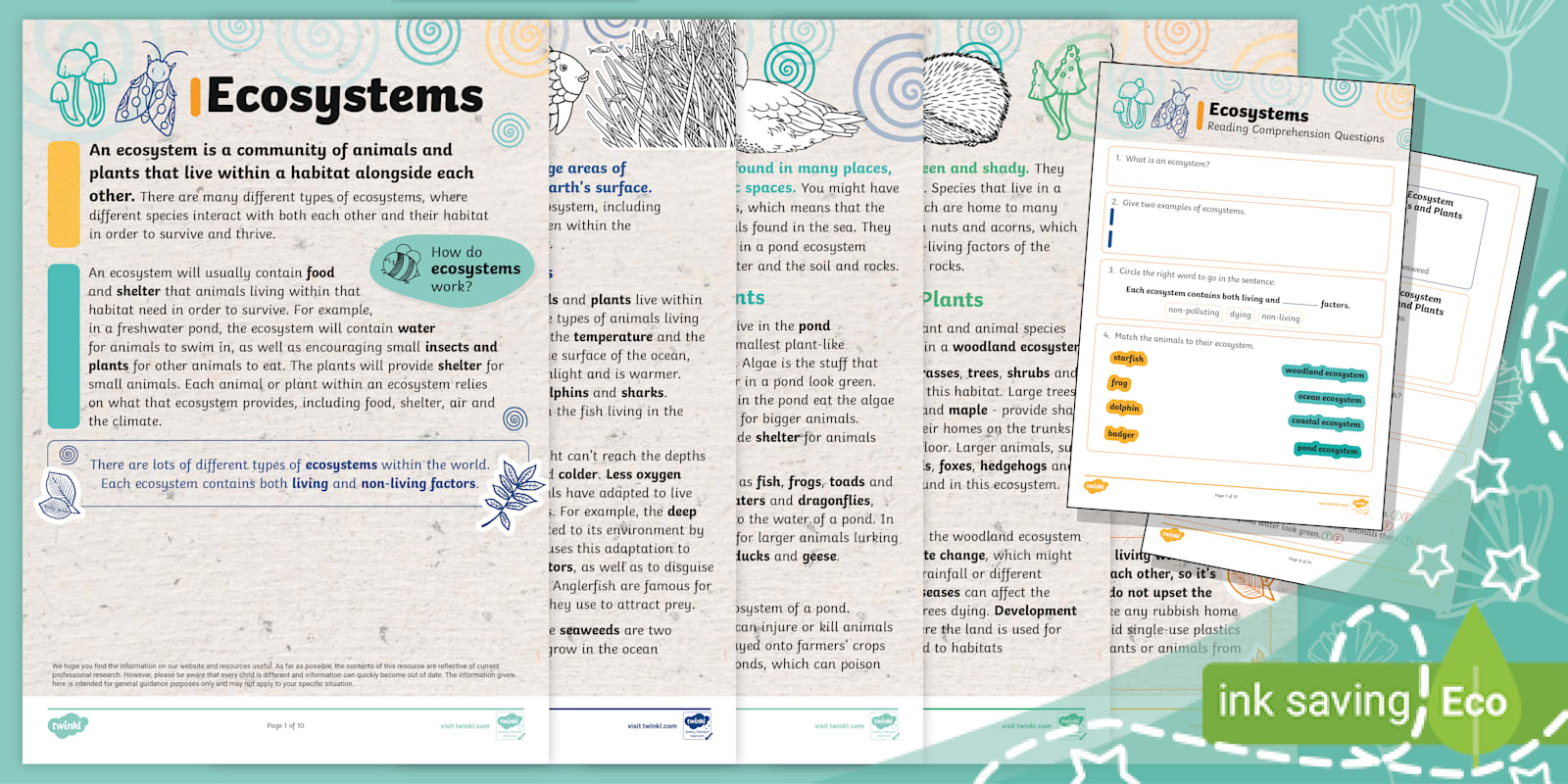 Ecosystems Reading Comprehension (Ages 5 - 7)