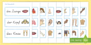 Parts of the Body Topic Word Cards - English / Spanish