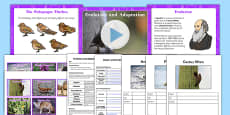 year 6 early morning science activities evolution ks2 science