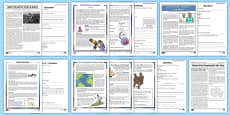 KS1 Non Chronological Report Examples Resource Pack - non-chron, reports