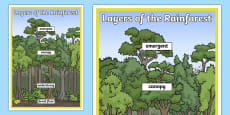 Layers of the Rainforest Cut and Stick Animals Activity - Twinkl