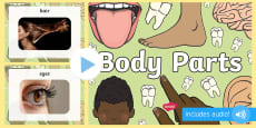 Parts of the Body Word Flashcards (teacher made)