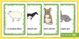 French Animal Vocabulary | Animal Names in French Word Cards