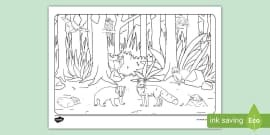 Nocturnal Animals Colouring Pages (teacher made) - Twinkl