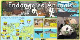 KS1 All About Endangered Species