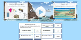 onomatopoeia exercises pdf primary worksheet resources