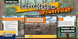 Deforestation Leaflet Template - Twinkl Science