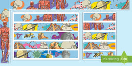 Maths Display Border | Numeracy Teaching Resource