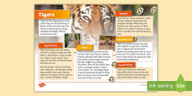 What Is a Bengal Tiger?, Teaching Wiki