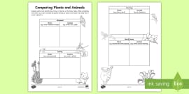 Animal Flow Chart Worksheet (teacher made) - Twinkl