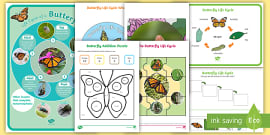 Butterfly Life Cycle Activity Booklet (teacher made)