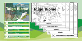 PPT - Taiga PowerPoint Presentation, free download - ID:1586448