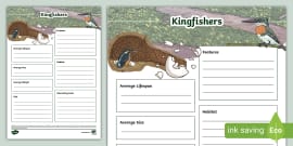 Kingfisher Cut Out (teacher made) - Twinkl