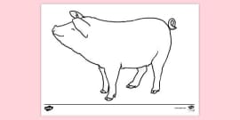 FREE! - Wolf Colouring | Colouring Sheets (teacher made)
