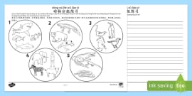 Chinese With Pinyin Zoo Animals Counting Worksheet