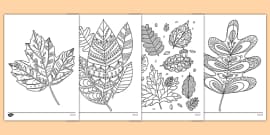 Weather-Themed Mindfulness Colouring Sheets (teacher made)