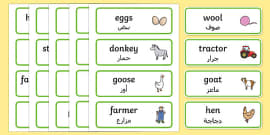 The Gingerbread Man Word Cards Arabic Translation - Twinkl