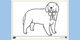 FREE! - Dog Colouring Sheet | Colouring Sheets - Twinkl