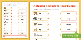 Pets Worksheet | Pets Matching Activity (teacher made)