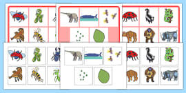 FREE! - Story Sack to Support Teaching on The Bad Tempered Ladybird