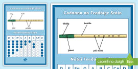 Tin Whistle Information Display Poster (teacher made)