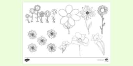 Free Small Potatoes Colouring Page Primary Resource