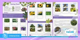 Science Knowledge Organiser - Petals for Plants Year 1