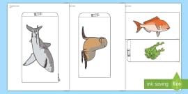 3.5 Food Chain Tube