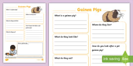 How to Take Care of a Guinea Pig Fact File (teacher made)