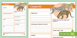 Lions Fact File Template,Lion Facts (teacher made) - Twinkl