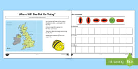 bee bot direction prompt cards beebot direction cards beebot directions