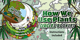 How Do We Use Plants? Mind Map