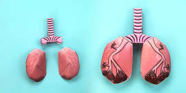 Lungs 3D Paper Model Activity