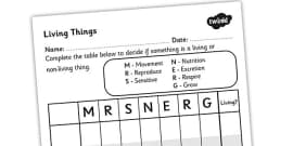 Mrs Nerg Life Processes Characteristics of Living Things Flash Cards - The