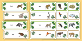 FREE! - Editable Drawer - Peg - Name Labels (Jungle & Rainforest)