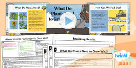 What Do Plants Need To Grow (teacher made) - Twinkl