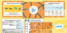 KS2 Food Chains Activity Pack - Primary Resources