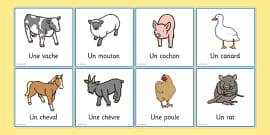 French Animal Vocabulary | Animal Names in French Word Cards