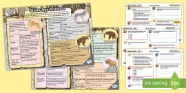 LKS2 Digging for Details: Stone Age Animals Infographic Comprehension ...