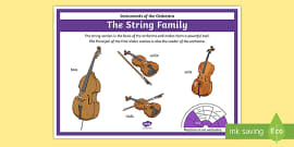 Instruments of the Orchestra Display Poster (Teacher-Made)