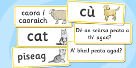 Animal Word Cards Scottish Gaelic (teacher made) - Twinkl