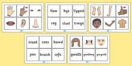 Welsh Parts of the Body Word Mat | Twinkl Welsh Resources